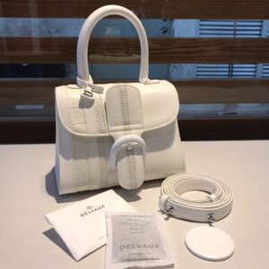 Brillant leather handbag Delvaux White in Leather