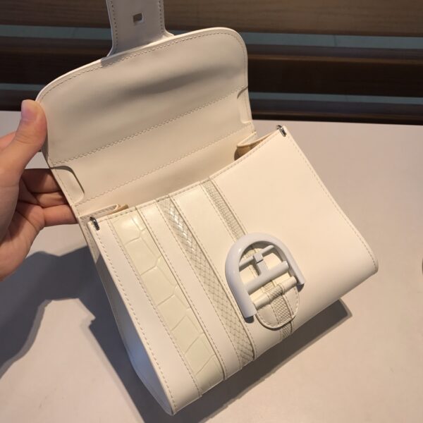 Brillant leather handbag Delvaux White in Leather