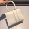 Brillant leather handbag Delvaux White in Leather