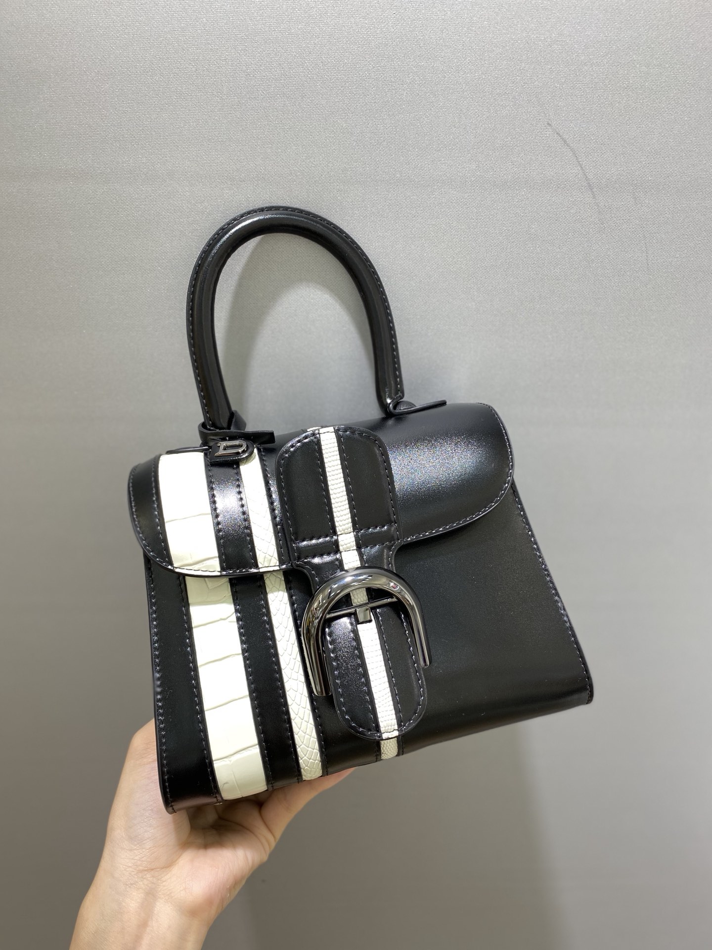 Delvaux Sac à main Alligator Brillant Delvaux 02569