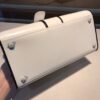 Brillant leather handbag Delvaux White in Leath