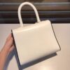 Brillant leather handbag Delvaux White in Leath