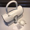 Brillant leather handbag Delvaux White in Leath