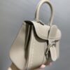 DELVAUX Grained Rodeo Calfskin Surpique Mini Brillant