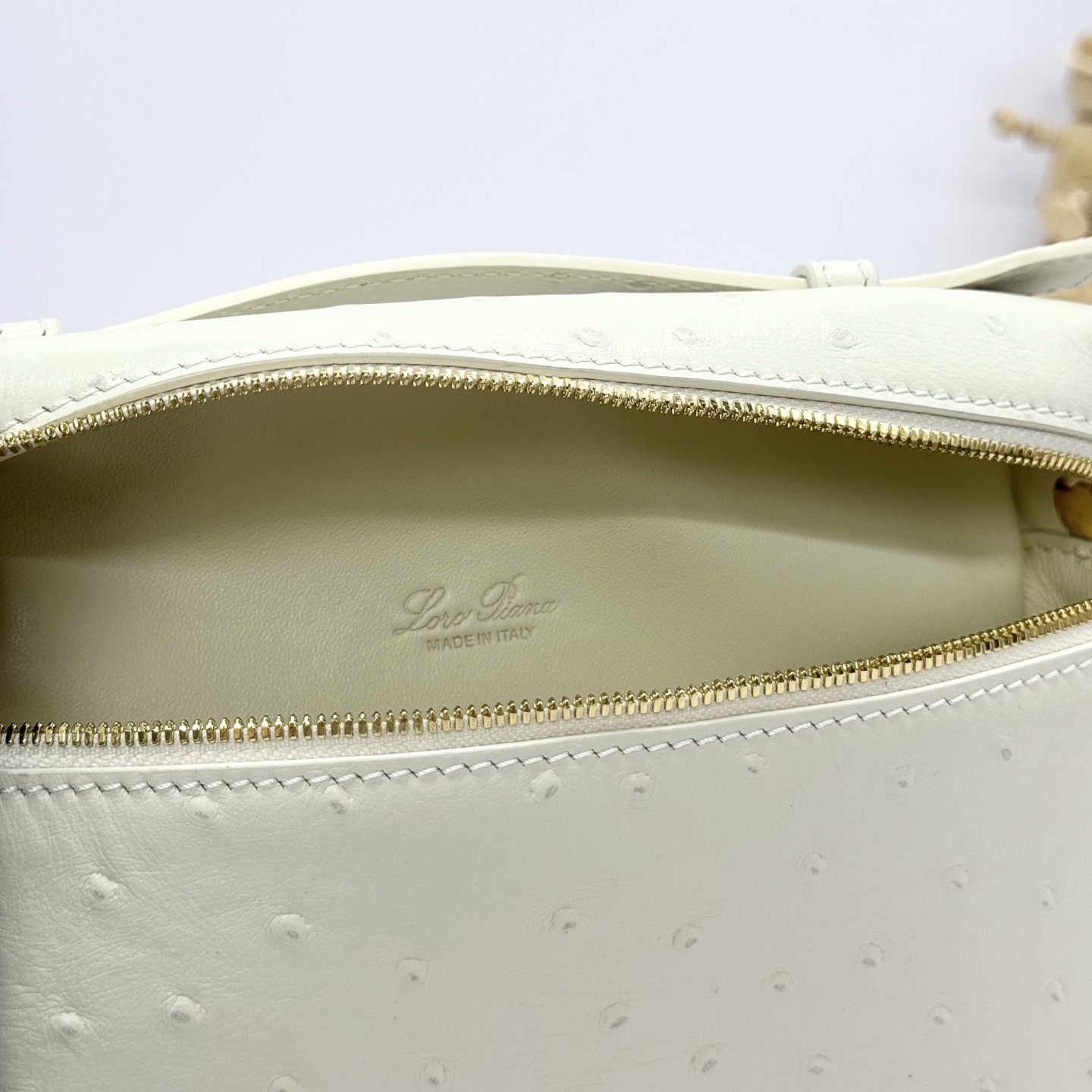 Extra pocket ostrich handbag Loro Piana White in Ostrich