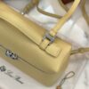 eBay Loro Piana Extra Pocket Backpack bag yellow