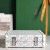Goyard white Coated Canvas and Leather Minaudiere