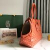 Goyard Chien Gris Pet Carrier Tote Coated Canvas bag orange