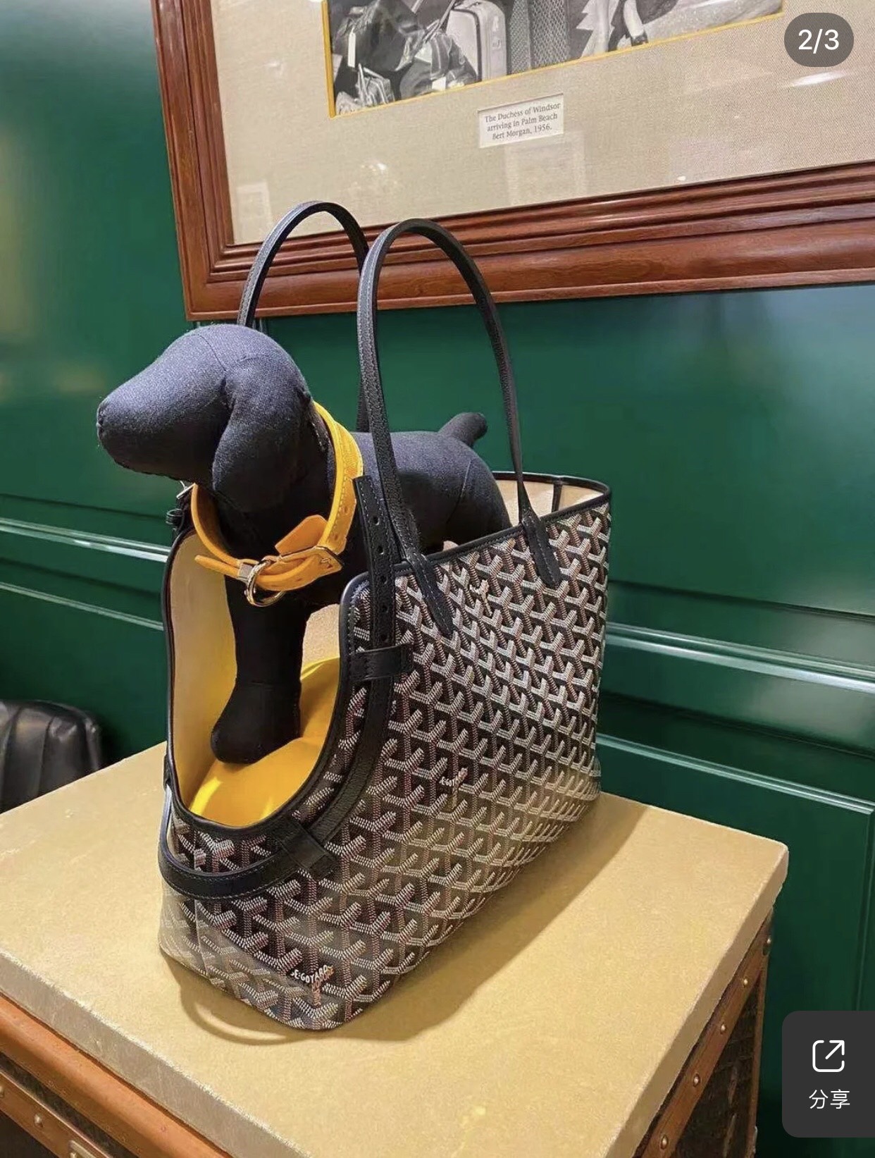 Goyard Chien Gris Pet Carrier Tote Coated Canvas bag black brown