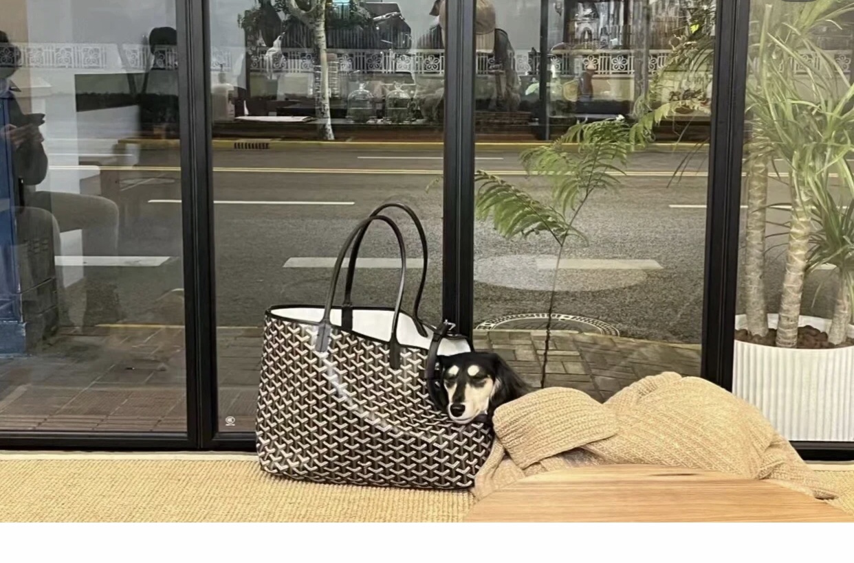 Goyard Chien Gris Pet Carrier Tote Coated Canvas bag black brown