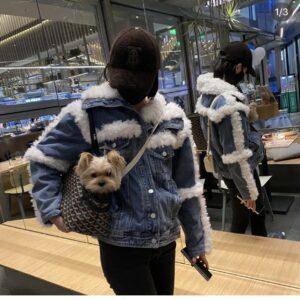 Goyard Chien Gris Pet Carrier Tote Coated Canvas bag black brown