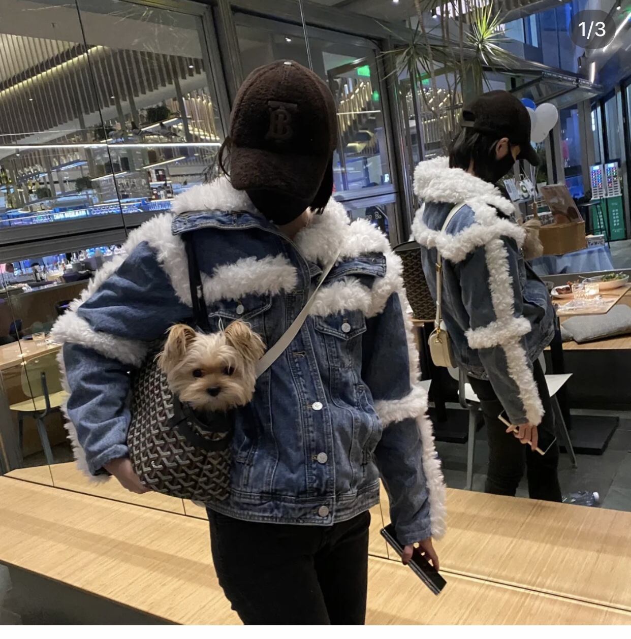 Goyard Chien Gris Pet Carrier Tote Coated Canvas bag black brown