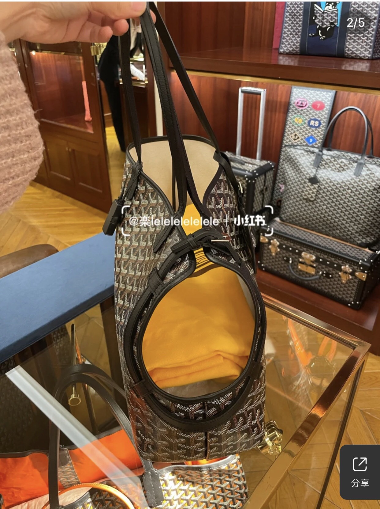 Goyard Chien Gris Pet Carrier Tote Coated Canvas bag black brown