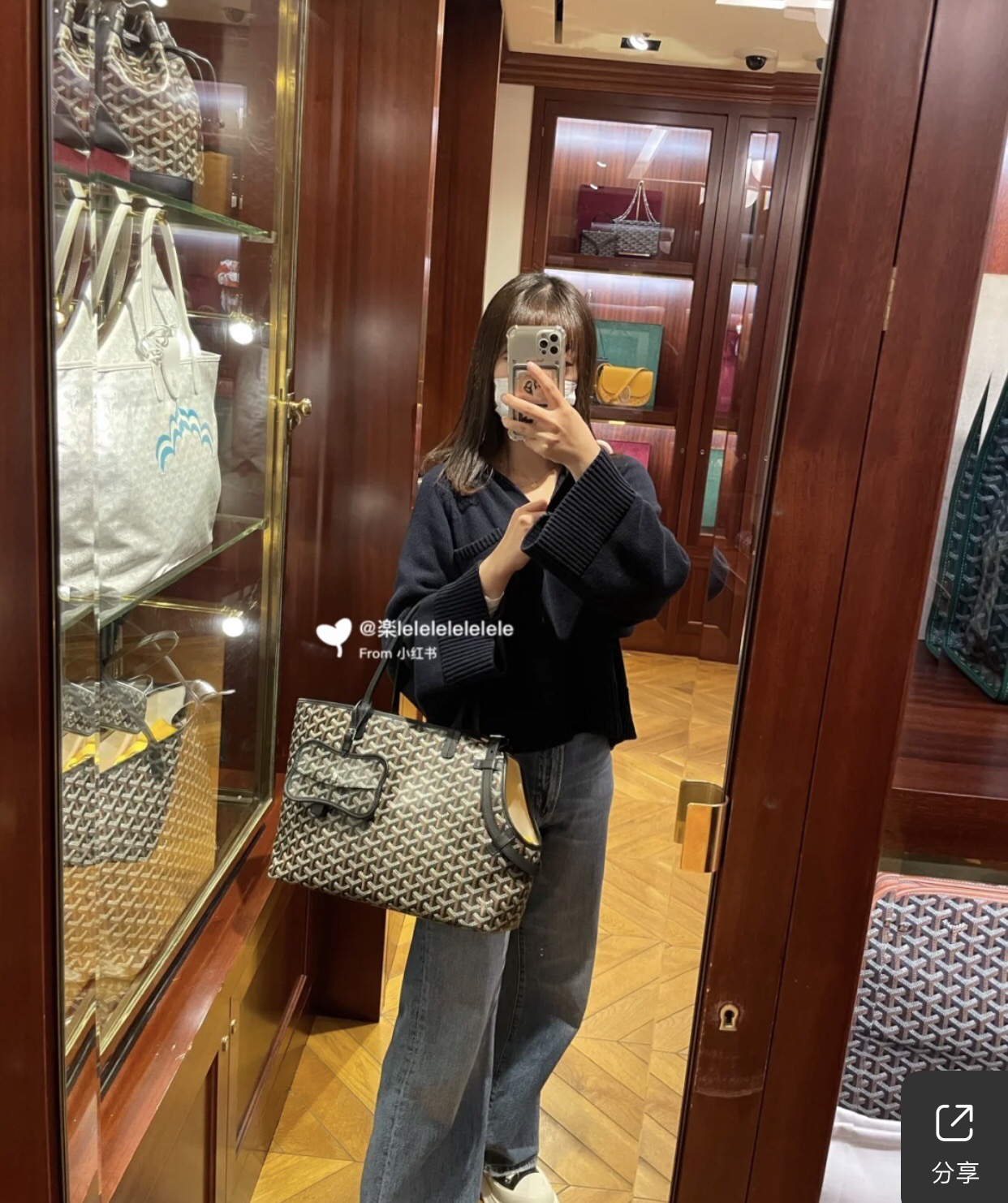 Goyard Chien Gris Pet Carrier Tote Coated Canvas bag black brown