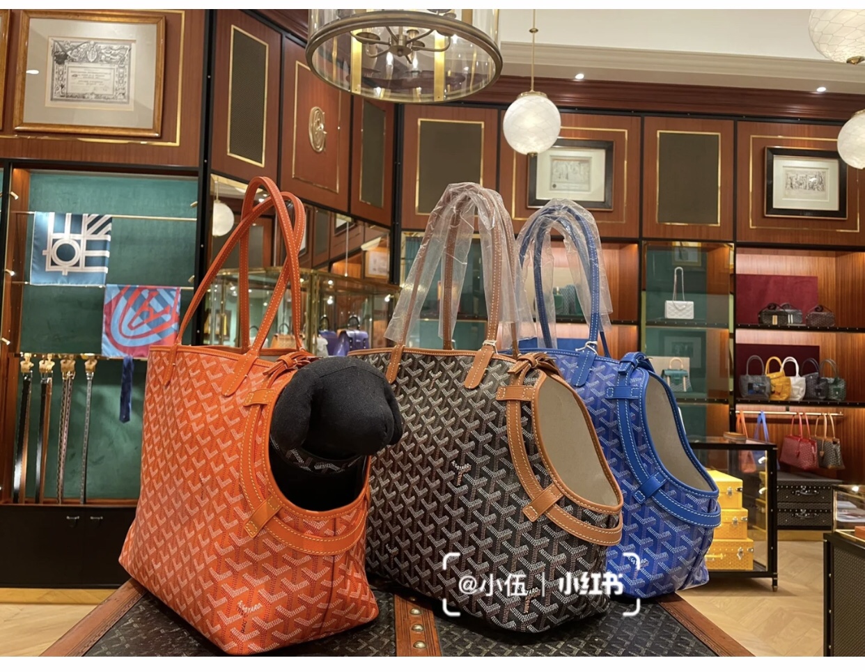 Goyard Chien Gris Pet Carrier Tote Coated Canvas bag blue