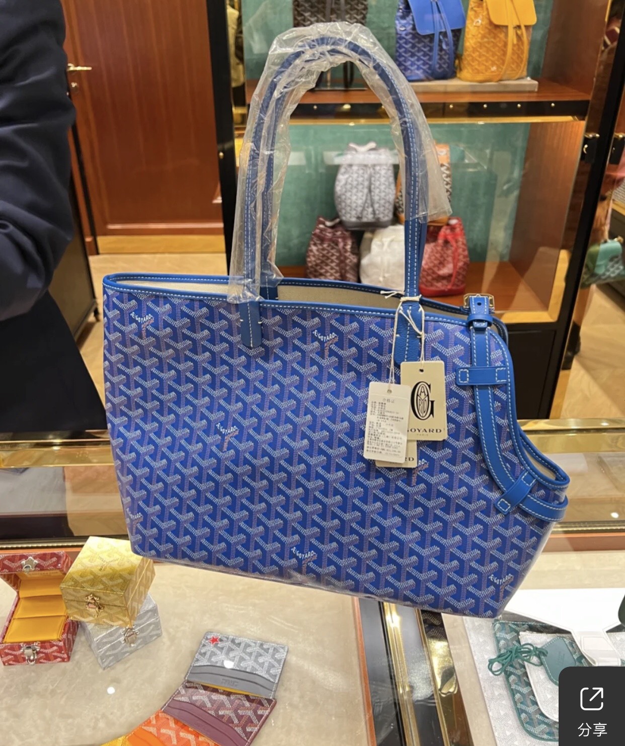 Goyard Chien Gris Pet Carrier Tote Coated Canvas bag blue