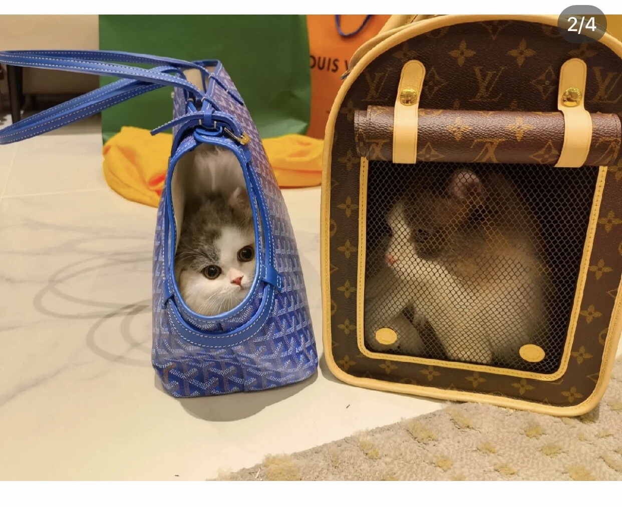 Goyard Chien Gris Pet Carrier Tote Coated Canvas bag blue