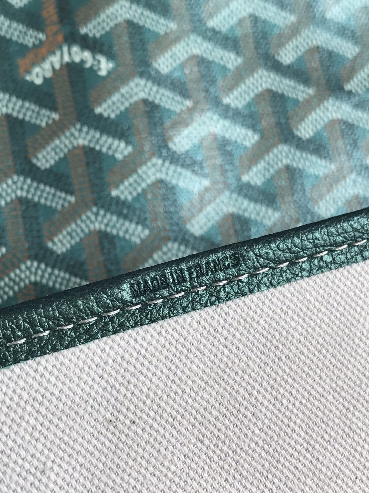 Goyard Women Sac Saint Louis GM in Goyardin bag green