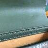 GOYARD Saigon Structure Mini Hand Shoulder Bag green PVC