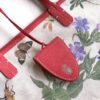 Goyard Red Goyardine Saint Louis PM Leather Cloth Pony
