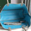 GOYARD Saint Louis PM Tote Bag Claire Voie Greige Turquois
