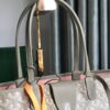 GOYARD Saint Louis PM Tote Bag Claire Voie Purse 2023