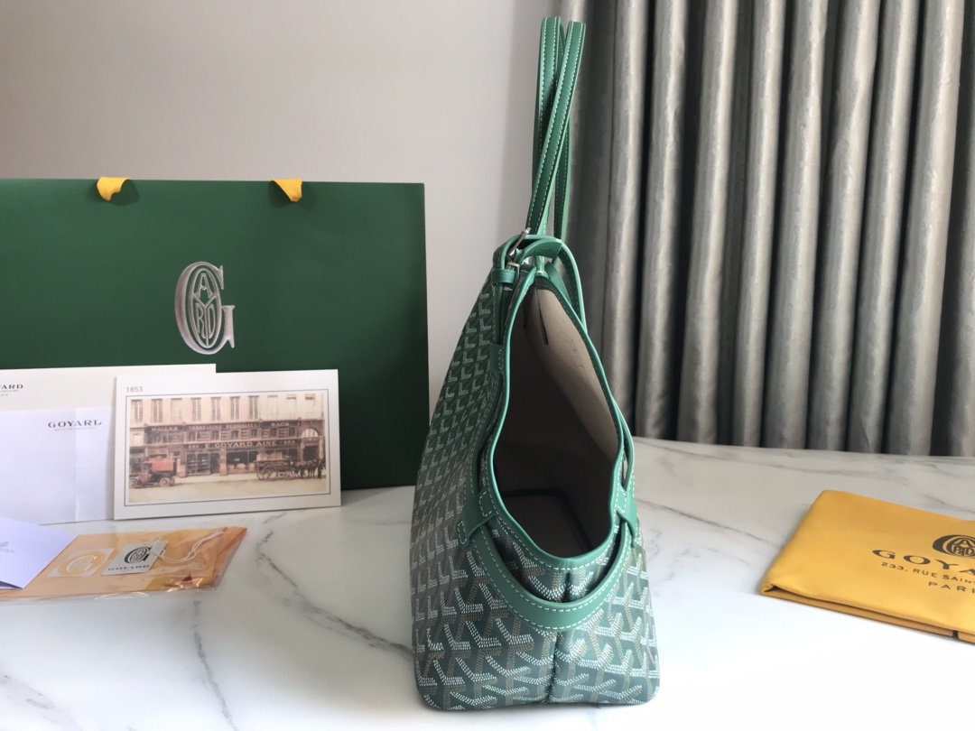 Goyard Chien Gris Pet Carrier Tote Coated Canvas bag green