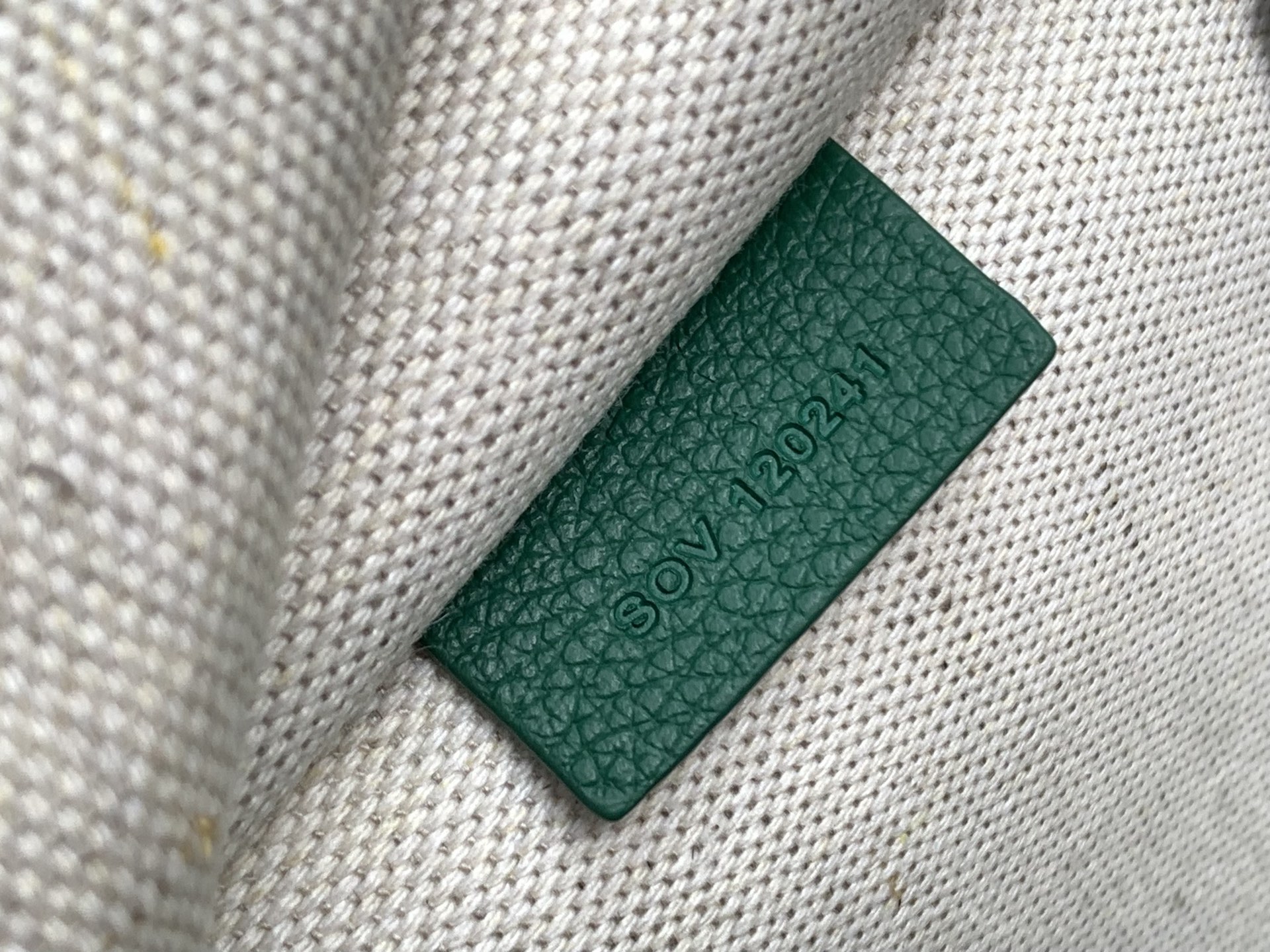 GOYARD Goyardine Calfskin Morvan Document Casegreen