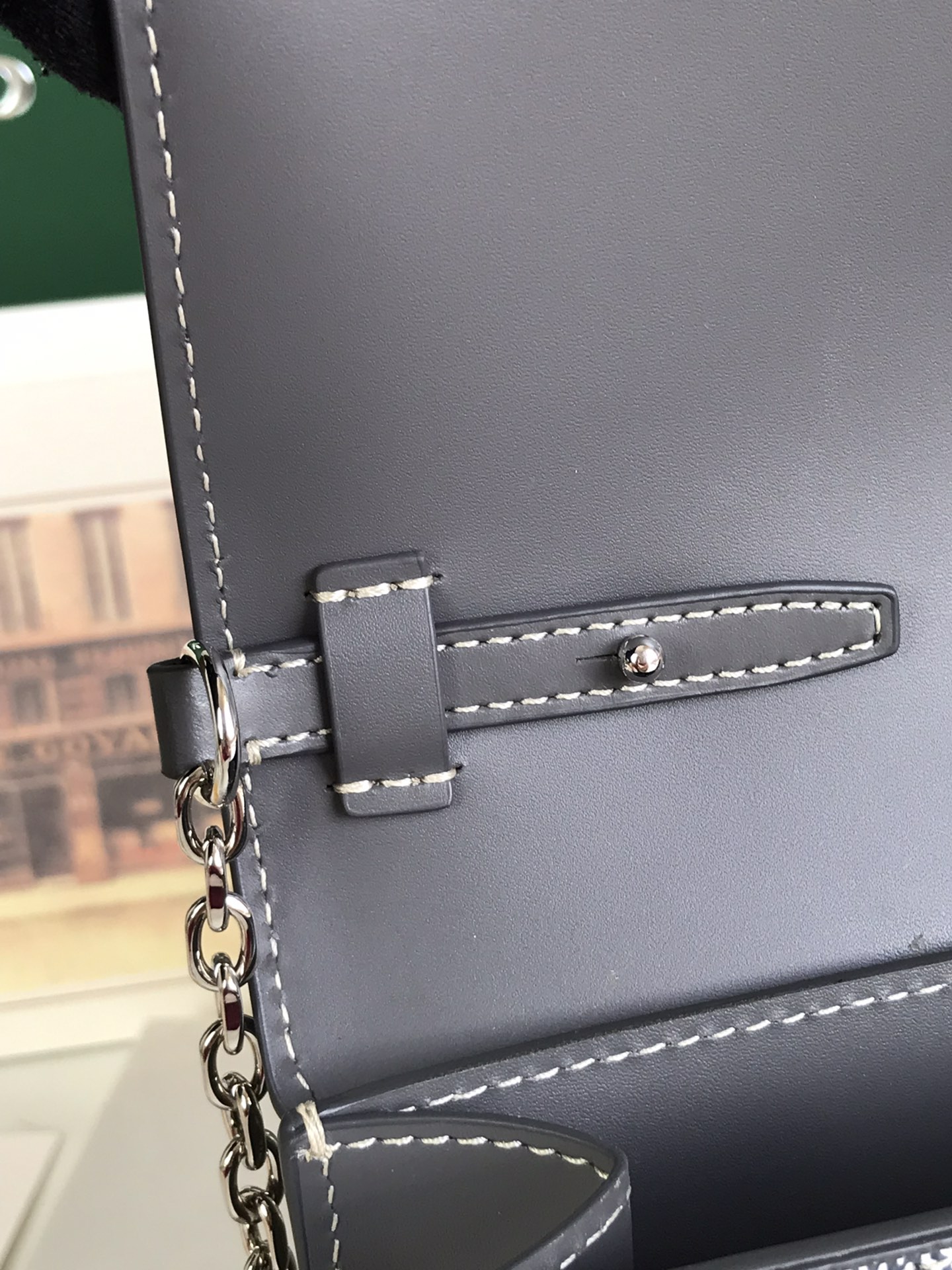 Goyard Duchesse Marie-Caroline Bag in gray