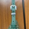 GOYARD Goyardine Belvedere II PM Messenger Bag Green