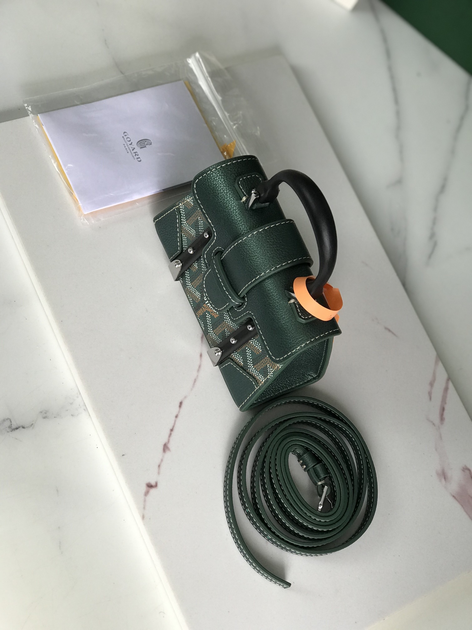 Goyard Saigon Structure Nano Pearly Green Goyardine