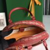Goyard Saint Jeanne Bag Coated Canvas PM red
