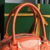 Goyard Saint Jeanne Bag Coated Canvas PM orange