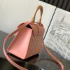 oyard Saigon Structure Nano Bag Pink Goyardine Silver