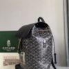 Goyard Alpin MM PVC Backpack Black Cloth ref.2215228