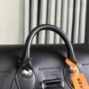 Goyard Alpin MM PVC Backpack Black Cloth ref.2215228