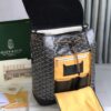 Goyard Alpin MM PVC Backpack Black Cloth ref.2215228