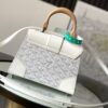 Goyard Structure Saigon PM bag canvas / calfskin white SHW