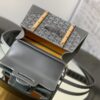 GOYARD Goyardine Structure Mini Saigon Grey 1377068