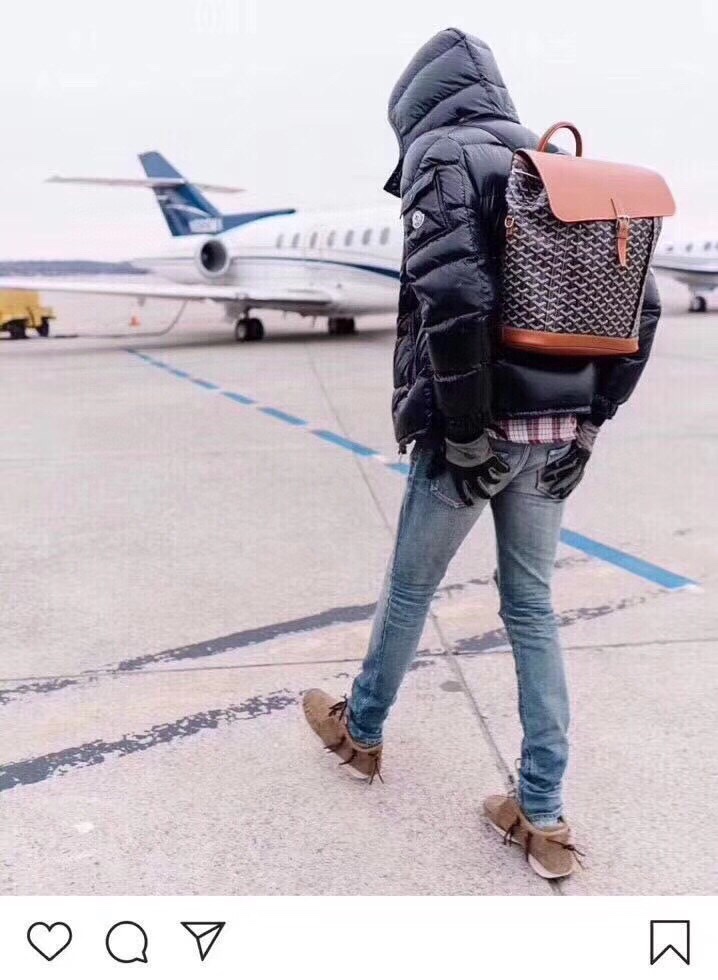 GOYARD Goyardine Calfskin Alpin MM Backpack Gold black brown