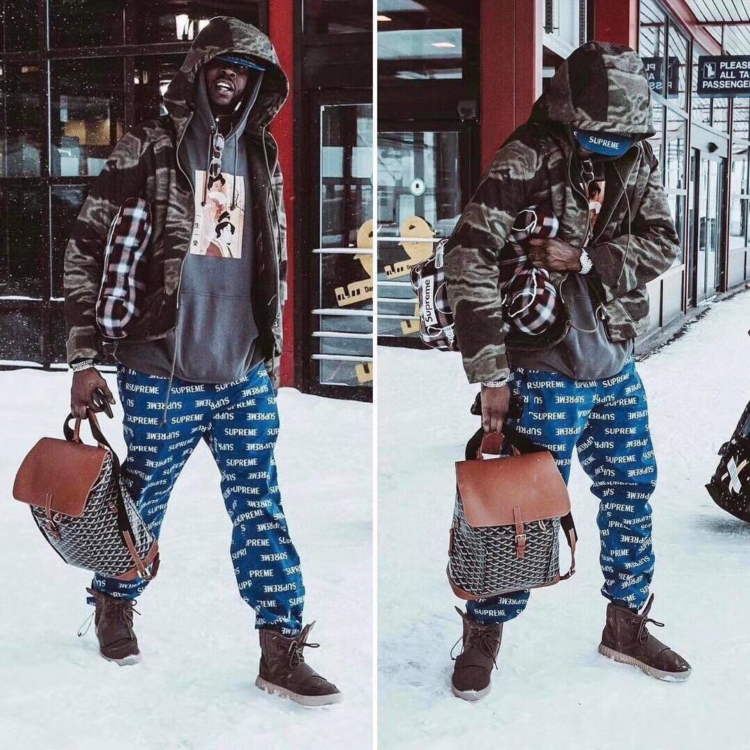 GOYARD Goyardine Calfskin Alpin MM Backpack Gold black brown