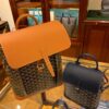 GOYARD Goyardine Calfskin Alpin MM Backpack Gold black brown