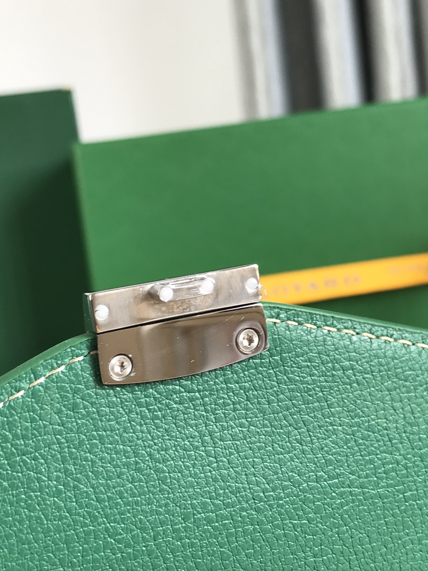 Goyard Green Goyardine Coated Canvas and Leather