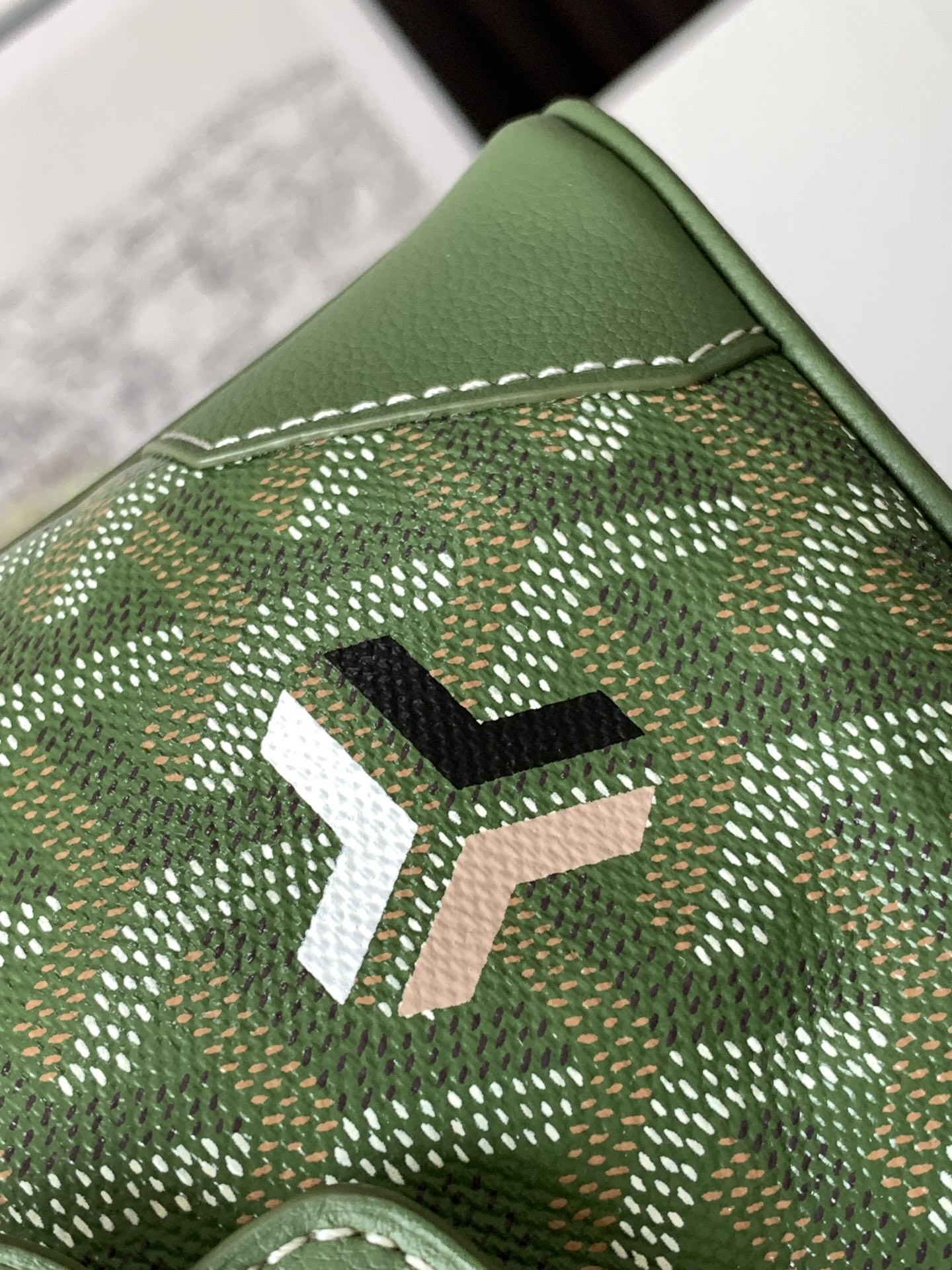 Goyard Saigon Souple Mini Bag Green Goyardine