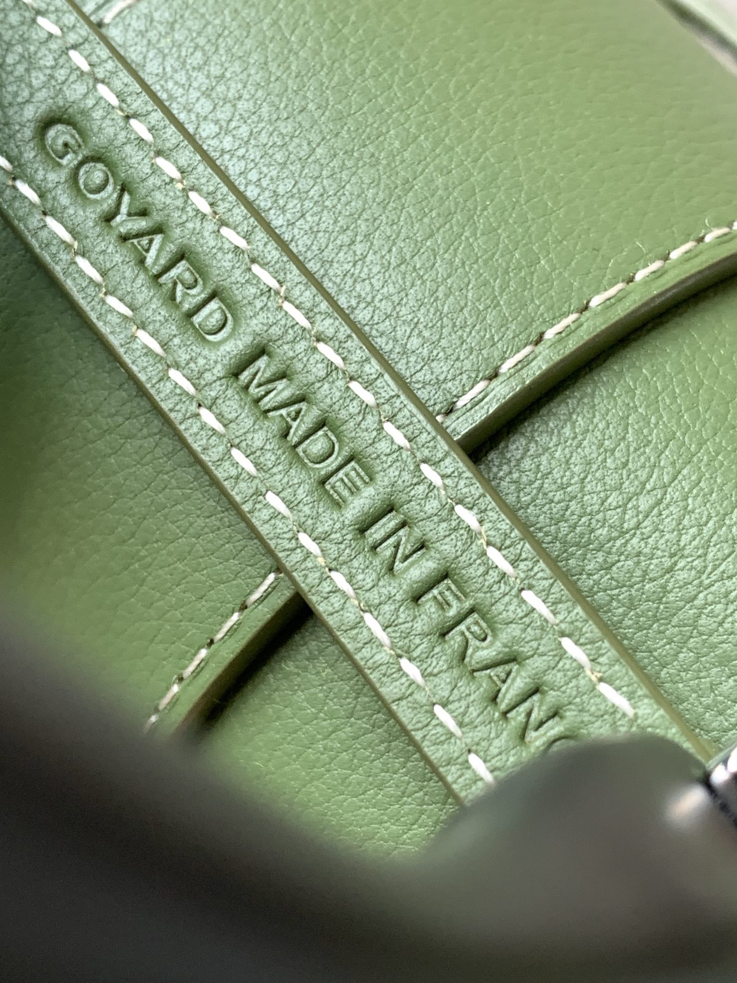 Goyard Saigon Souple Mini Bag Green Goyardine