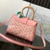 Goyard Saigon Souple Mini Bag Pink Goyardine Silver ...