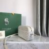 Goyard Cap Vert Bag Coated Canvas White 722684