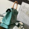 Goyard Goyardine Saigon Souple Mini - green Handle