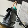 Goyard Saigon Souple Mini Bag Black Goyardine Canvas ...
