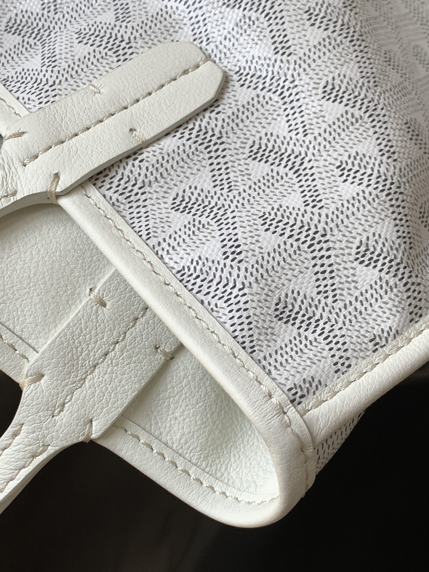 Goyard Black Anjou Mini Bag white Women's Handbag